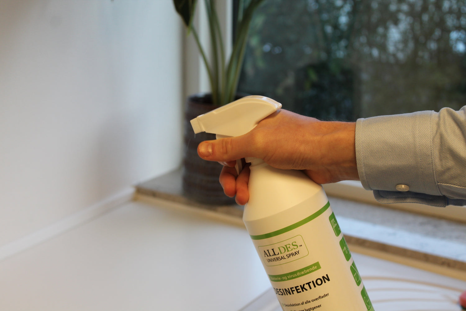 Guide til effektiv desinfektion af storkøkkener