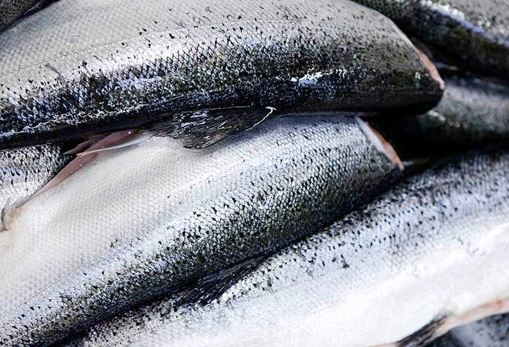 Listeria i fødevarevirksomheder